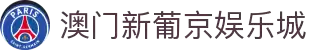 澳门新葡京娱乐城app，体验无与伦比的娱乐盛宴 - xinpujing